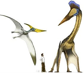 Flugsaurier wie der Hatzegopteryx benutzten die Flügel zum Absprung (Bild: John Hopkins University)