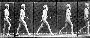 Der menschliche Gang in einer Fotografie von 1904 (Foto: Wikimedia Commons/Eadweard Muybridge)