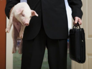 Mal wieder Schwein gehabt? (gettyImages/Mike Kemp)