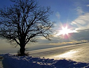 Wintersonne: Einfluss des Geburtstages ist Biologie, nicht Astrologie (Foto: pixelio.de/Sturm)