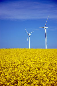 Windräder: Energiewende schafft Arbeitsplätze (Foto: aboutpixel.de/Petra)