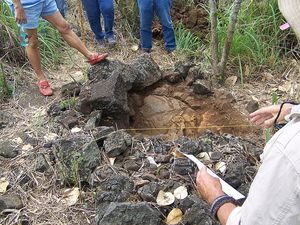 Ausgrabung: Illegale Grabungen unterbinden (Foto: FlickrCC/Hawaii County)