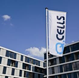 Q-Cells-Gebäude: Aktie stürzt weiter ab (Foto: q-cells.com)