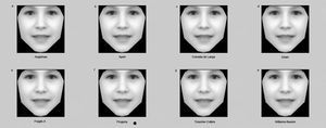 Gesichter: Software hilft dabei, Erbkrankheiten zu erkennen (Foto: ox.ac.uk)