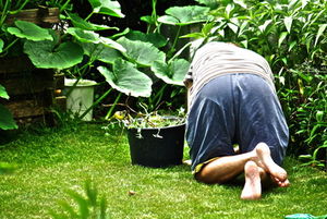 Arbeit im Garten: Bakterium macht positiver (Foto: Peter Freitag/pixelio.de)