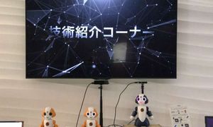 Roboter: Experimente in Japan zeigen bereits gute Ergebnisse (Foto: ntt.co.jp)