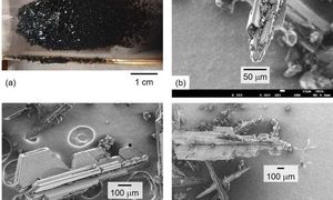 Forscher testen Fullerene in verschiedenen Stadien (Foto: ynu.ac.jp)