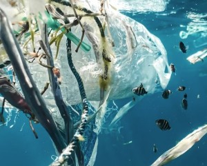 Plastik im Meer: TU-Wien-Forscher stöbern Nanoteilchen auf (Foto: unsplash.com, Naja Bertolt Jensen)