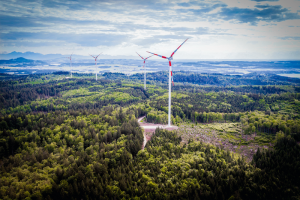 Windenergie und Landschaftsbild im Einklang (Foto: EWS Consulting)