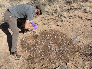 Ryan Trexler beim Sammeln von Bodenproben zur Erforschung der Kruste (Foto: psu.edu)