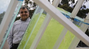 Navid Moheimani und ein Bioreaktor für die Algenzucht (Foto: hmurdoch.edu.au)