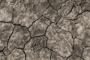 Ausgetrockneter Boden: Extreme Hitze hat Folgen für die Gesundheit (Foto: pixabay.com, Maud Correa)