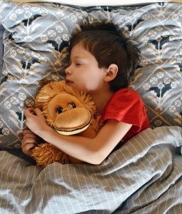 Junge: Richtige Menge Schlaf ist wichtig für die Gesundheit (Foto: pixabay.com, R-region)