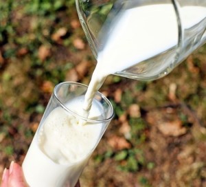 Milch: Naturprodukt enthält mit TVA einen Wirkstoff gegen Krebs (Foto: Ilo, pixabay.com)