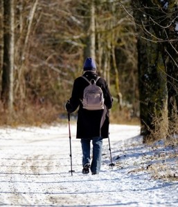 Spaziergang: Regelmäßige Bewegung senkt das Demenzrisiko signifikant (Foto: Nicky, pixabay.com)