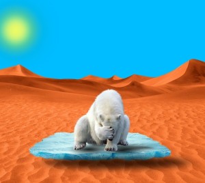 Eisbär in der Wüste: Klimaziele von 2016 immer unrealisierbarer (Bild: pixabay.com, Terranaut)