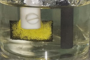 Im Laborversuch: Uran als gelbe Ablagerung auf der Kathodenmatte (Foto: acs.org)