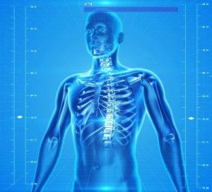 Körper: Mensch wird für KI zum Betätigungsfeld (Bild: pixabay.com, PublicDomainPictures)