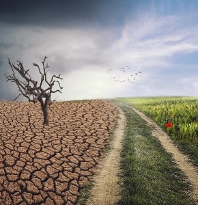 Klimawandel und seine Folgen: Die Lebenserwartung der Menschen sinkt (Bild: pixabay.com, ELG21)