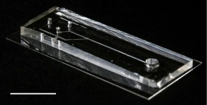 Dieser Kasten produziert nahezu perfekte Seidenfäden im Labor (Foto: riken.jp/en)