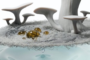 Neue Membran aus Pilzen trennt Öl und Wasser (Illustration: Ivan Gromicho, kaust.edu.sa/en)