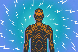 Nervenschmerzen: Sie können den ganzen Körper befallen (Illustration: utexas.edu)
