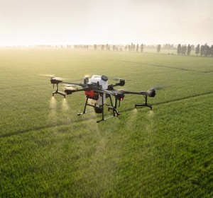 Drohne sprüht: Einsatz von Herbiziden lässt sich reduzieren (Foto: liu xiaozhong, pixabay.com)