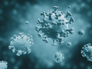 Influenza-Virus: Neues Spray bremst Verbreitung effektiv ein (Illustration: med.nyu.edu)