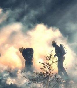 Feuerwehrleute bei der mühsamen Waldbrandbekämpfung (Foto: Roland Plett, pixabay.com)