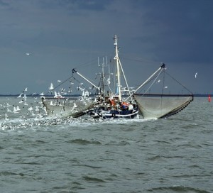 Fischerboot: Viele sind getarnt unterwegs und fischen illegal (Foto: BlackTobi, pixabay.com)