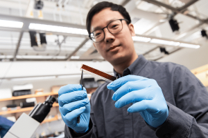 Forscher Pengju Li mit dem Prototypen des neuen Herzschrittmachers (Foto: Jean Lachat, uchicago.edu)