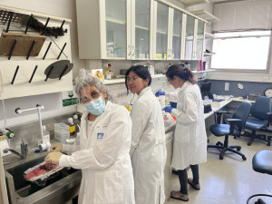 Wissenschaftliche Probenvorbereitung im Steffen-Jung-Labor (Foto: weizmann.ac.il)
