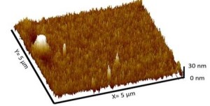 Elektronenmikroskopisches Bild der neuen Nano-Nadel-Oberfläche (Bild: gatech.edu)