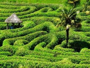 Labyrinth: Orientierung wird im Alter immer schwieriger (Foto: pixabay.com, LoggaWiggler)