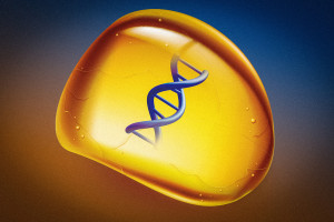 DNA, eingelagert in den neuen Bernstein-Ersatz (Illustration: mit.edu)