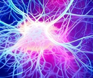 Nervenzelle in Aktion: Forscher sind Regeneration auf der Spur (Bild: pixabay.com,. PixxlTeufel)