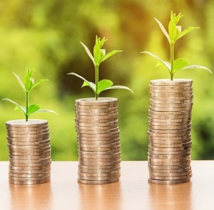 Nachhaltiges Investment: Kreditgeber bringen das Thema zunehmend ein (Foto: pixabay.com, nattanan23)