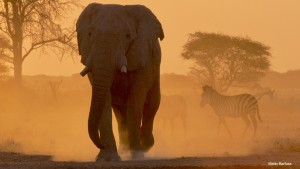 Safaritourismus und Nachhaltigkeit (Foto: Matto Barfuss)