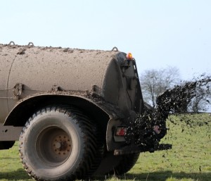 Überdüngung: schadet Vielfalt stickstoffbindender Pflanzen (Foto: pixabay.com, Myriams-Fotos)