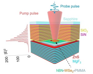 Darstellung des optischen Hohlraums mit einer ein Molekül dicken Wolframschicht (Bild: umich.edu)