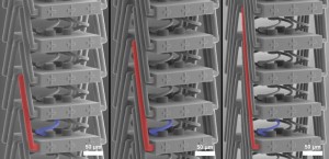 Neues Metamaterial unter dem Rasterelektronenmikroskop (Foto: kit.edu)