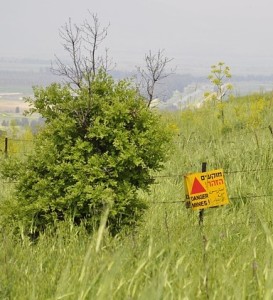 Achtung, Minen: Gefährliche Landstreifen nun effektiv behandelbar (Foto: David L, pixabay.com)