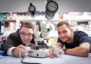 John Cryan (links) und Postdoc Gabriel Tofani sorgen für Stressabbau (Foto: Gerard McCarthy, ucc.ie)