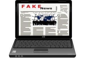 Fake News: Viele Deutsche befürchten gezielte Beeinflussung zur Wahl (Bild: pixabay.com, NoName_13)