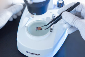 RecoveryLab Berlin stellt seit 20 Jahren microSD-Karten-Daten mit Erfolg wieder her (©RecoveryLab)